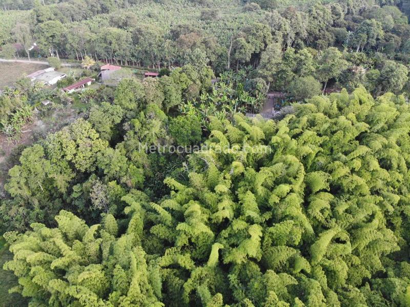 Lote en Venta, Puerto Espejo, Armenia - Vista 5