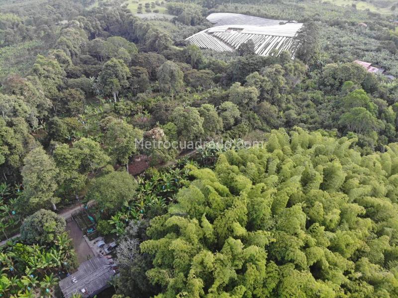 Lote en Venta, Puerto Espejo, Armenia - Más