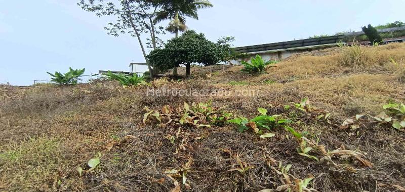 Lote en Venta, La Linda, Manizales - Vista 4
