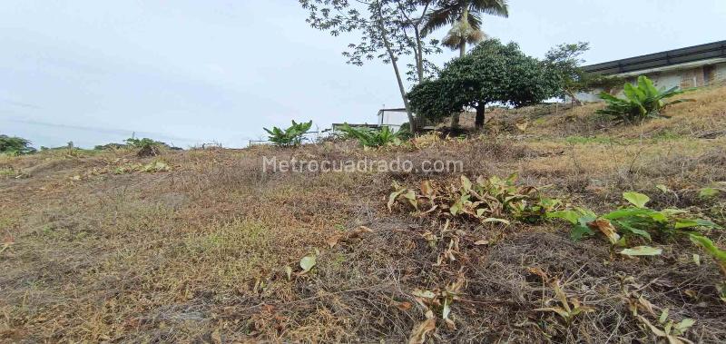 Lote en Venta, La Linda, Manizales - Vista 5