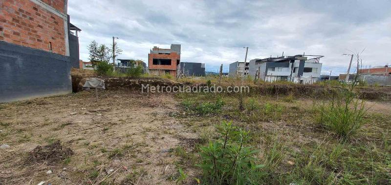 Lote en Venta, Av La Romelia El Pollo, Dosquebradas - Vista 2