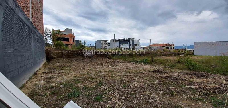 Lote en Venta, Av La Romelia El Pollo, Dosquebradas - Vista 5