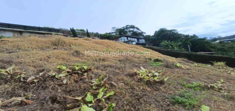 Lote en Arriendo, La Linda, Manizales - Vista 2