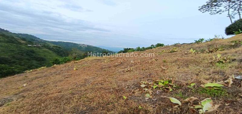 Lote en Arriendo, La Linda, Manizales - Vista 4