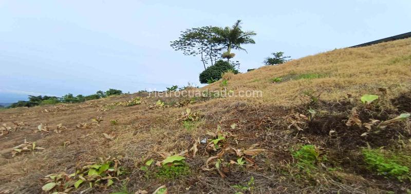 Lote en Arriendo, La Linda, Manizales - Vista 5