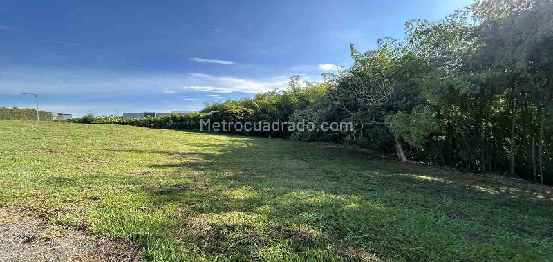 Lote en Venta, Cerritos, Pereira - Vista 5