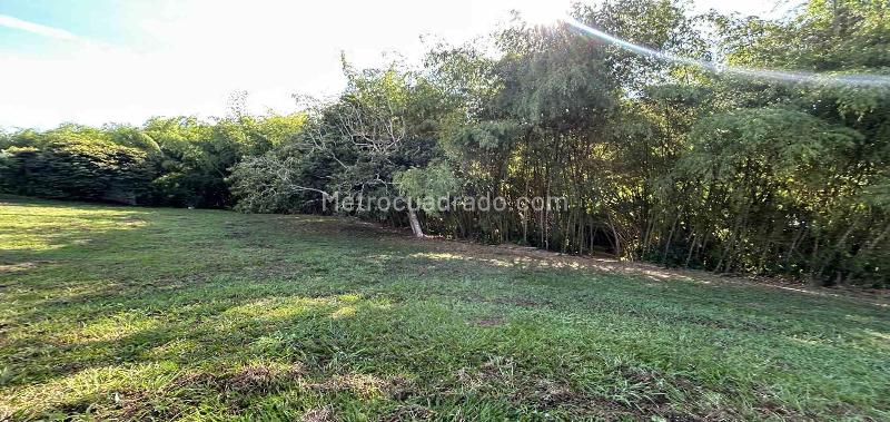 Lote en Venta, Cerritos, Pereira - Más