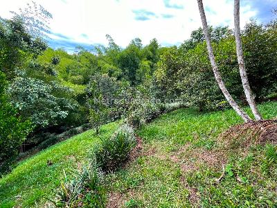 Casa en venta en Tres Puertas, Pereira · foto 3 de 18