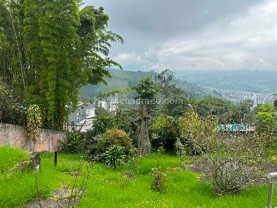 Casa en arriendo en Milan, Manizales · foto 14 de 20