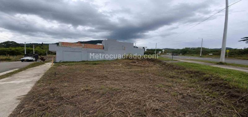 Lote en Venta, Av La Romelia El Pollo, Dosquebradas - Vista 3