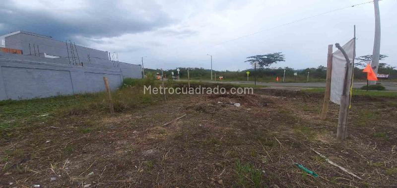 Lote en Venta, Av La Romelia El Pollo, Dosquebradas - Vista 4