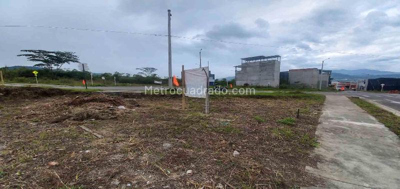 Lote en Venta, Av La Romelia El Pollo, Dosquebradas - Vista 5