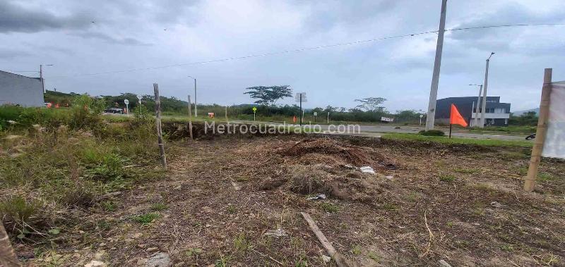 Lote en Venta, Av La Romelia El Pollo, Dosquebradas - Más