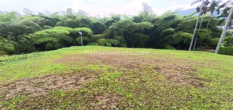 Lote en Venta, Vereda La Trinidad, Manizales - Vista 2