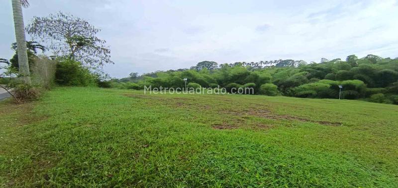 Lote en Venta, Vereda La Trinidad, Manizales - Vista 3
