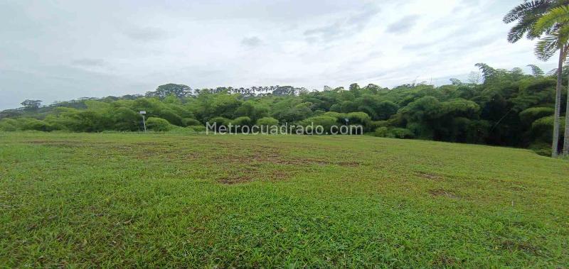 Lote en Venta, Vereda La Trinidad, Manizales - Vista 4