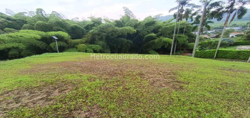 Lote en Venta, Vereda La Trinidad, Manizales - Vista 5