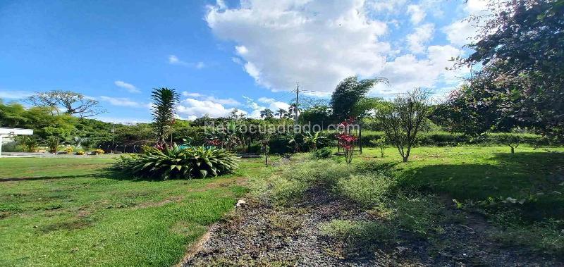 Casa – Pereira - Vista 5