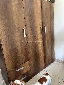 Apartamento en venta en Paso Del Comercio, Cali · foto 8 de 12