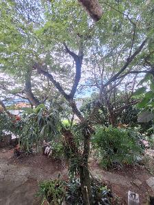 Casa de 3 alcobas en venta en Corregimiento De Golondrinas, Cali · foto 11 de 16