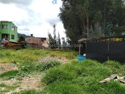 Casa en venta en Rincón Santo 1, Cajicá · foto 14 de 18