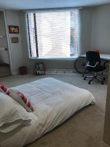 Apartamento de 4 alcobas en arriendo en Los Rosales Emaus, Bogotá, 359 m² · foto 7 de 14