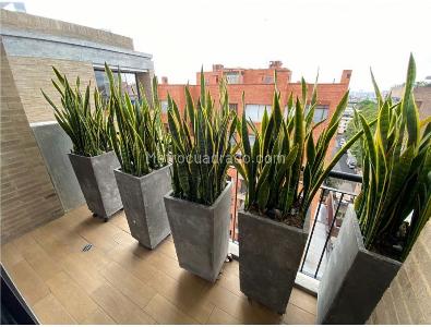 Apartamento de 2 alcobas en venta en Parque Del Virrey, Bogotá, 350 m² · foto 13 de 20