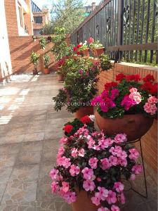 Apartamento de 3 alcobas en venta en Usaquen, Bogotá, 157 m² · foto 11 de 18
