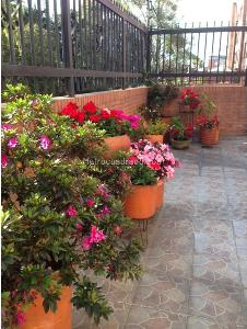 Apartamento de 3 alcobas en venta en Usaquen, Bogotá, 157 m² · foto 12 de 18