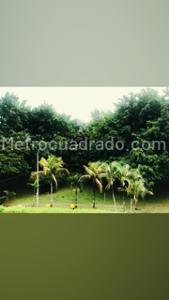 Casa de 4 alcobas en venta en Prados Del Limonar, Cali, 800 m² · foto 15 de 17