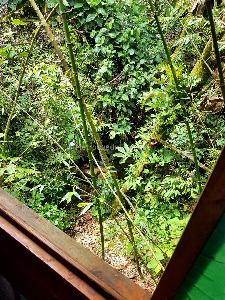 Casa de 5 alcobas en venta en Corregimiento La Leonera, Cali, 1157 m² · foto 3 de 20