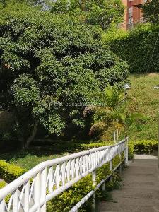 Apartamento de 3 alcobas en venta en Melendez, Cali, 65 m² · foto 13 de 20