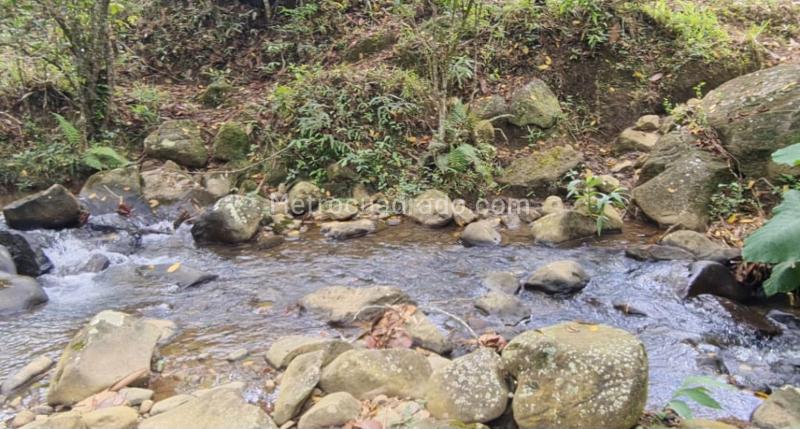 Lote en Venta, Corregimiento De La Viga Pance, Cali - Vista 3