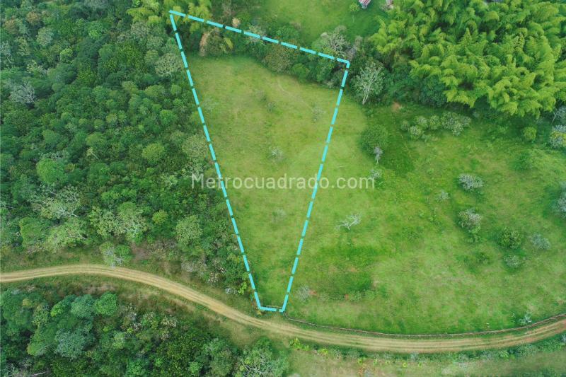Lote en Venta, Corregimiento De La Viga Pance, Cali - Vista 5