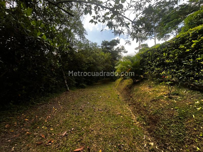 Lote en Venta, Pance, Cali - Vista 5