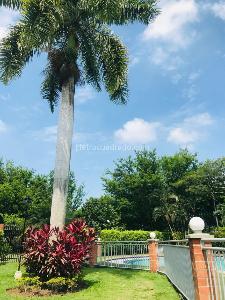 Casa de 5 alcobas en venta en Ciudad Jardin, Cali, 335 m² · foto 9 de 20