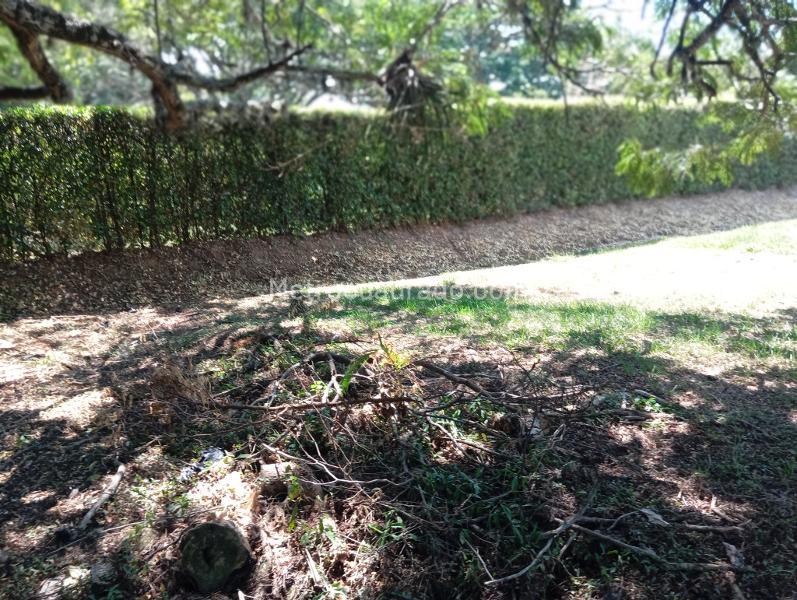 Lote en Venta, La Morada, Jamundi - Más
