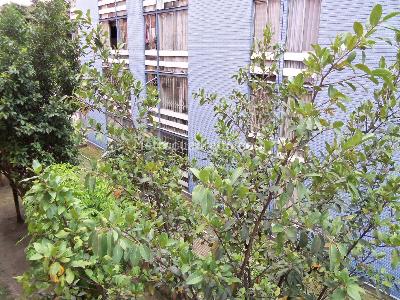 Apartamento en venta en Castilla, Bogotá · foto 4 de 20