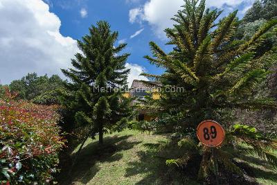 Casa de 4 alcobas en venta en Loma Del Escobero, Envigado, 387 m² · foto 15 de 20