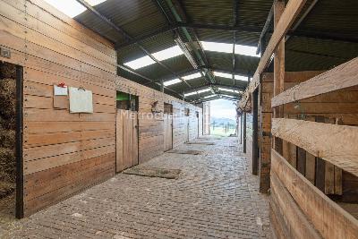 Casa de 4 alcobas en venta en Vereda Yerbabuena, Chía, 300 m² · foto 8 de 11