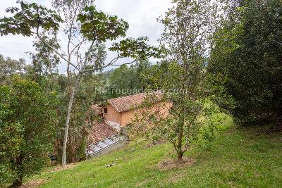 Casa de 5 alcobas en venta en Vereda El Peñasco, Envigado, 382 m² · foto 8 de 11