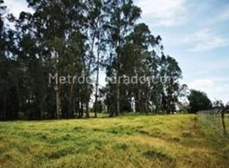 Lote en Arriendo, SIMIJACA, Simijaca - Vista 2