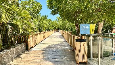 Apartamento en venta en Pozos Colorados, Santa Marta · foto 14 de 20