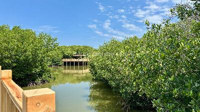 Apartamento en venta en Pozos Colorados, Santa Marta · foto 3 de 20