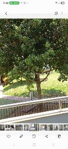Apartamento de 3 alcobas en venta en Ciudad Jardin, Cali, 131 m² · foto 5 de 18