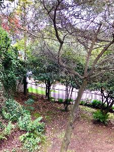 Apartamento de 3 alcobas en venta en Bellavista Rosales, Bogotá, 178 m² · foto 13 de 13