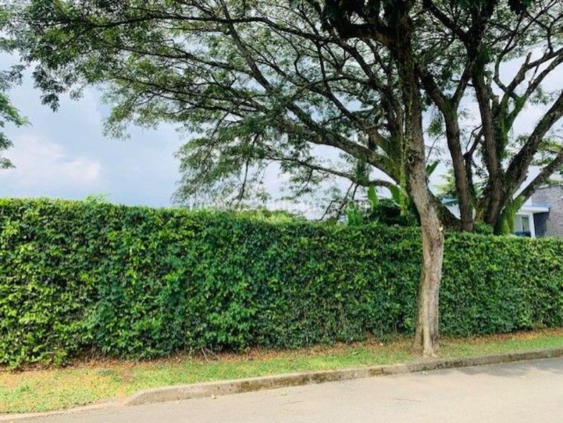 Lote en Venta, SAMANES DE LA MORADA, Jamundi - Más