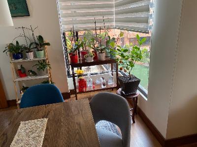 Apartamento de 5 alcobas en venta en Recodo Del Country Usaquen, Bogotá, 185 m² · foto 4 de 16