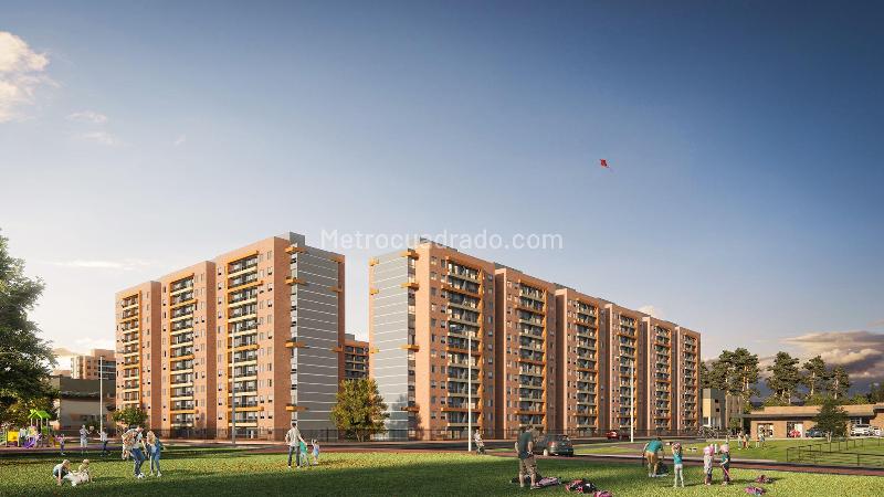 Proyecto CEDRO