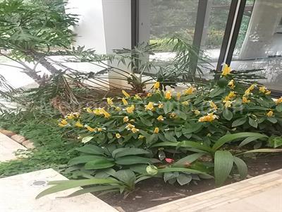 Casa de 4 alcobas en venta en Condominio Santa Teresita, Villavicencio · foto 10 de 20